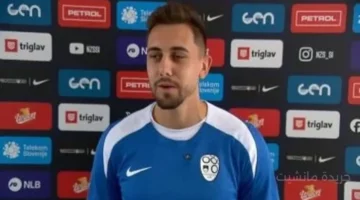 شهادة أجنبية.. جراديشار يفاجئ الجميع شغف المصريين بكرة القدم لا يقارن بأي جمهور في العالم 1